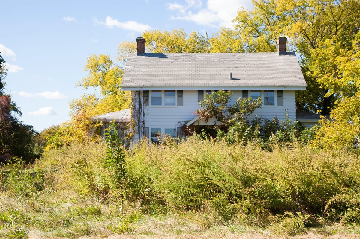 Colonial style house overgrown with weeds and shrubs, needs renovation
